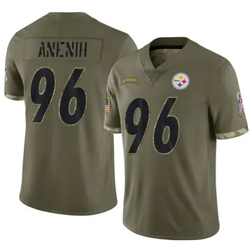 Nike David Anenih Men's Limited Pittsburgh Steelers Olive 2022 Salute To Service Jersey