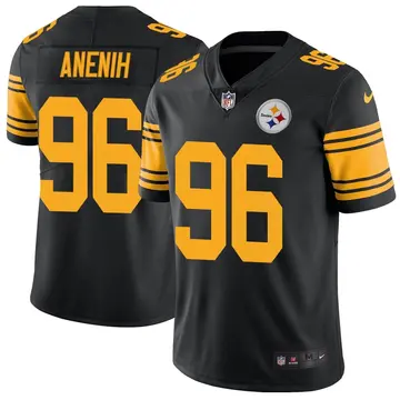 Nike David Anenih Youth Limited Pittsburgh Steelers Black Color Rush Jersey